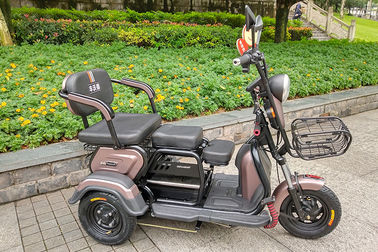 Adults 3 Wheel 25km/H Electric Trike Scooter